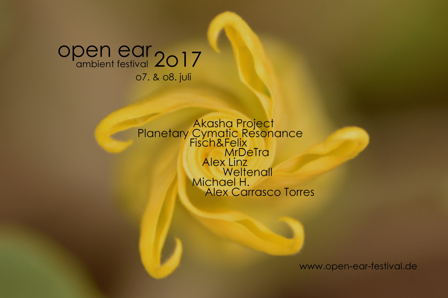 Flyer open ear Ambient Festival 2017